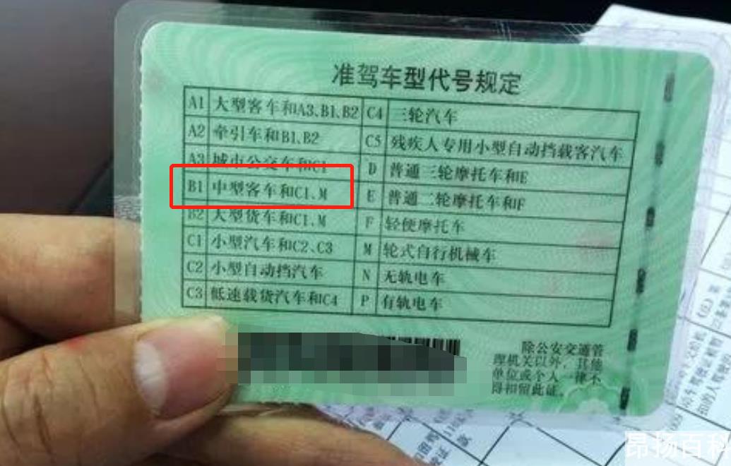 上海驾校价格收费标准（上海考驾照需要多少钱）