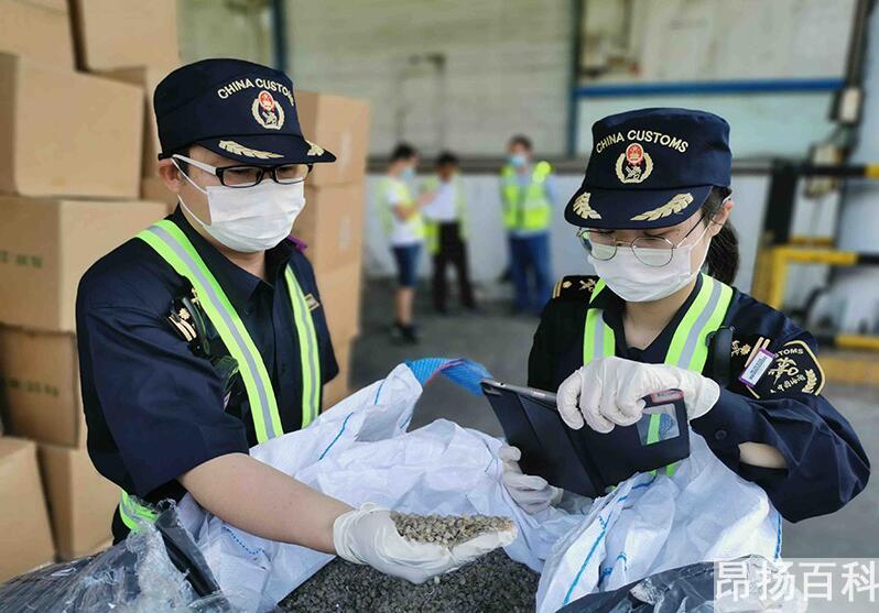 退税什么意思（免税退税被税区别是什么）