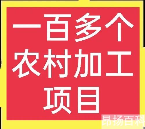 2022必火的创业项目加盟（30个农村办厂项目）