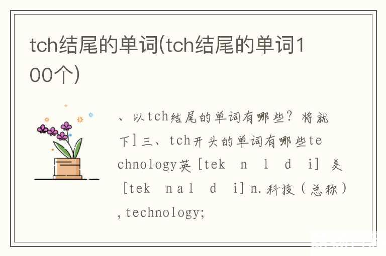 tch结尾的单词(tch结尾的单词100个)