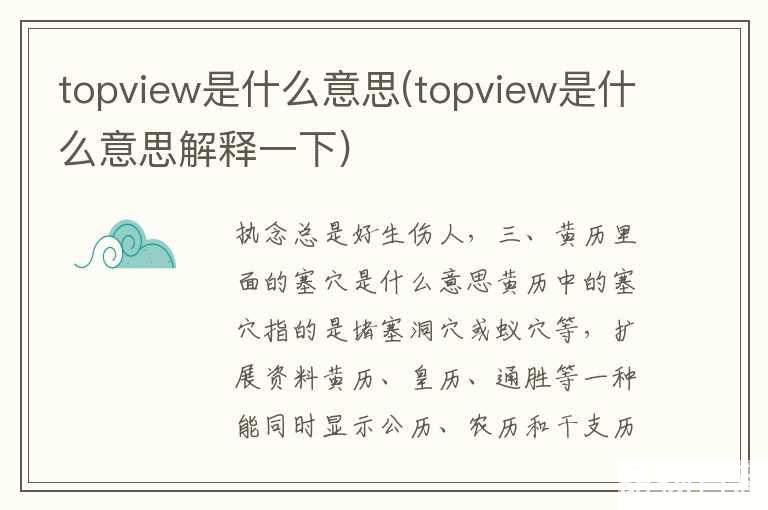 topview是什么意思(topview是什么意思解释一下)