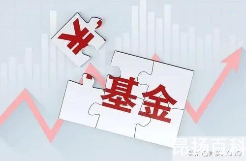 散户是什么意思（炒股什么叫散户）