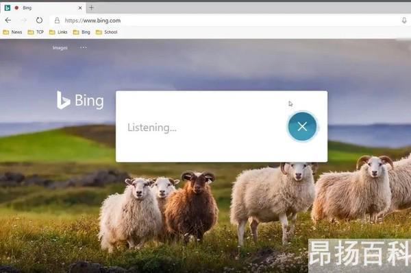 今天语音搜索了吗(Bing可以用语音搜索了) (http://www.cangchou.com/) 网络快讯 第1张